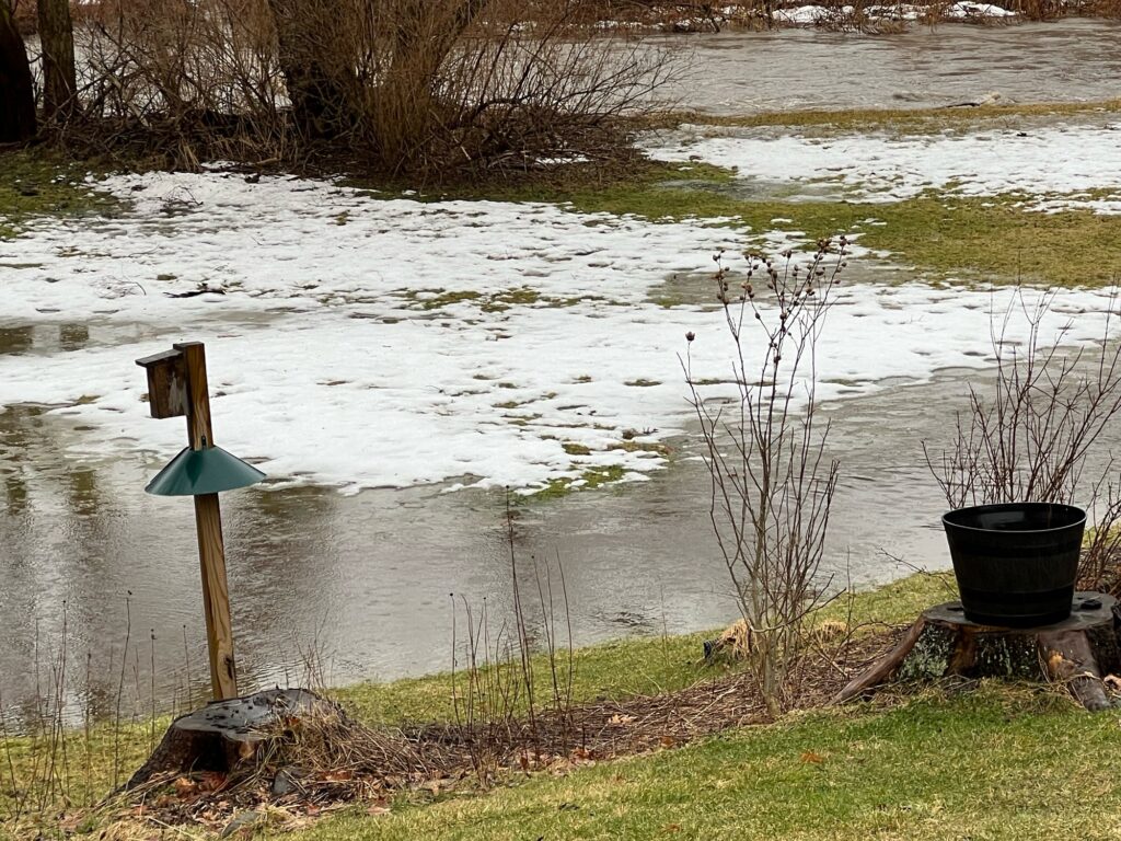 a pond with a sign and a tree in it (MyCoast AI)