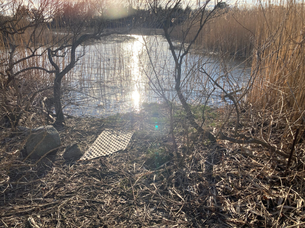 a body of water with trees around it (MyCoast AI)