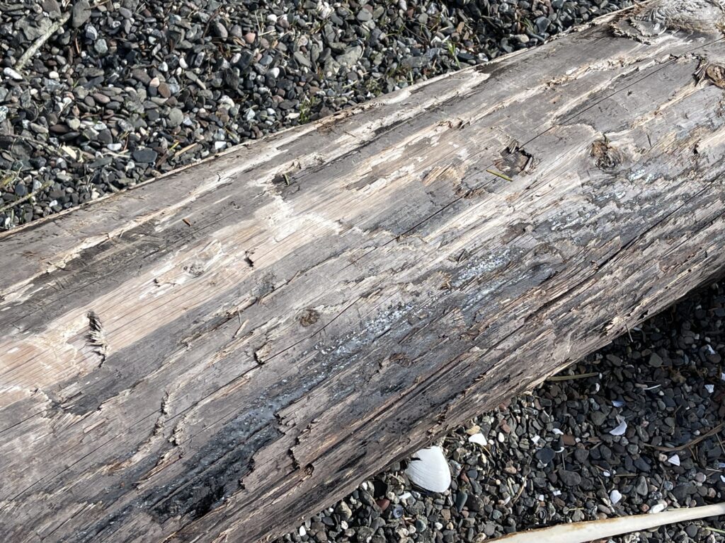 a close-up of a railroad track (MyCoast AI)