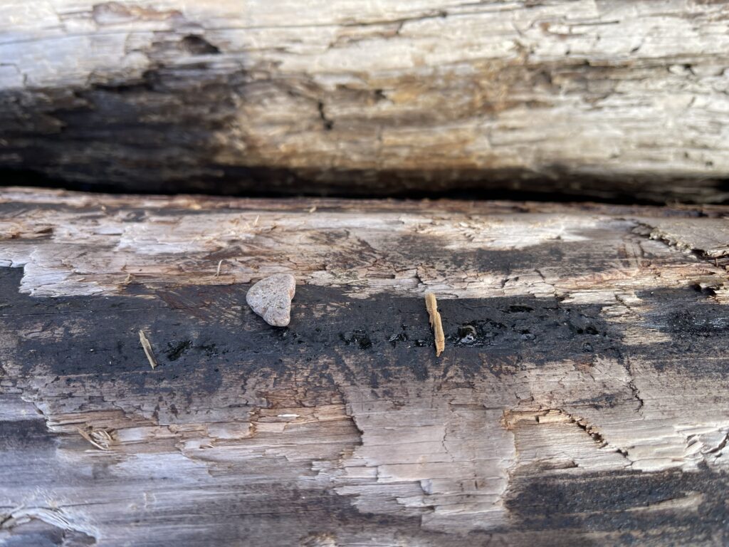 a close up of a wall (MyCoast AI)