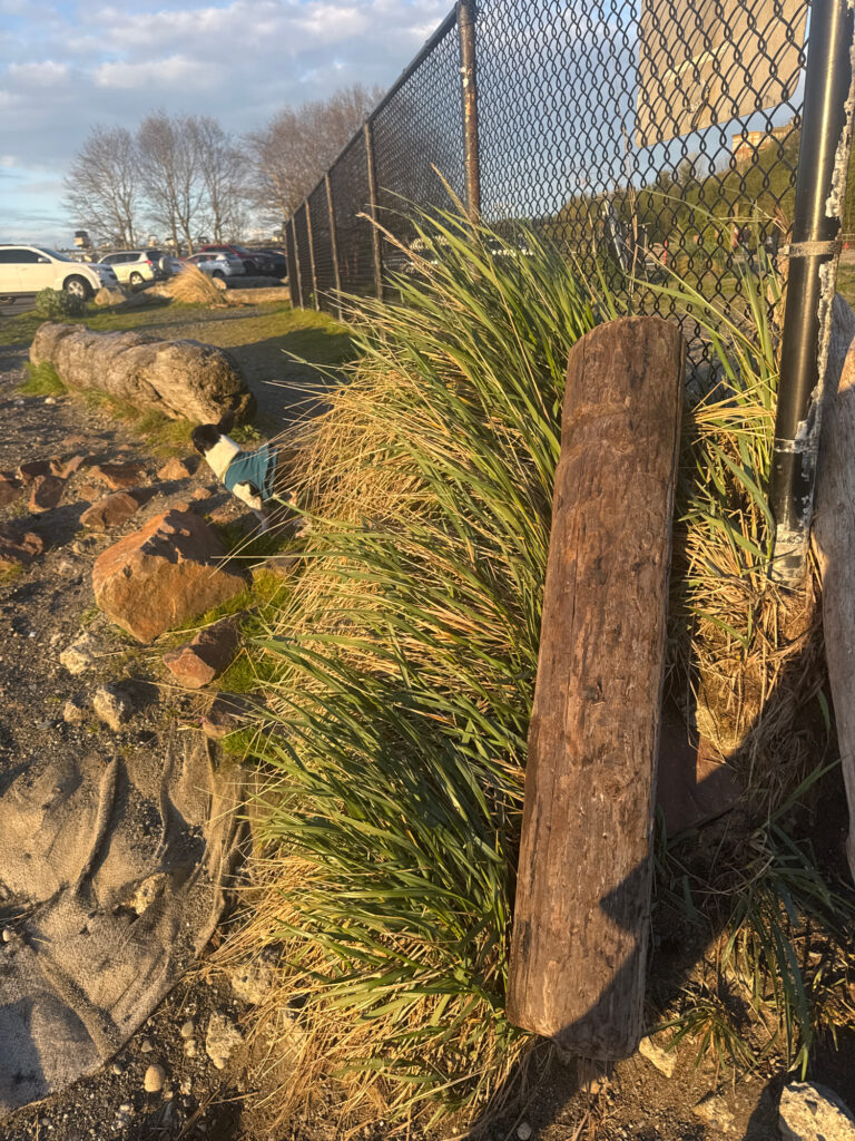 a fenced in area with a rock wall and a rock wall (MyCoast AI)