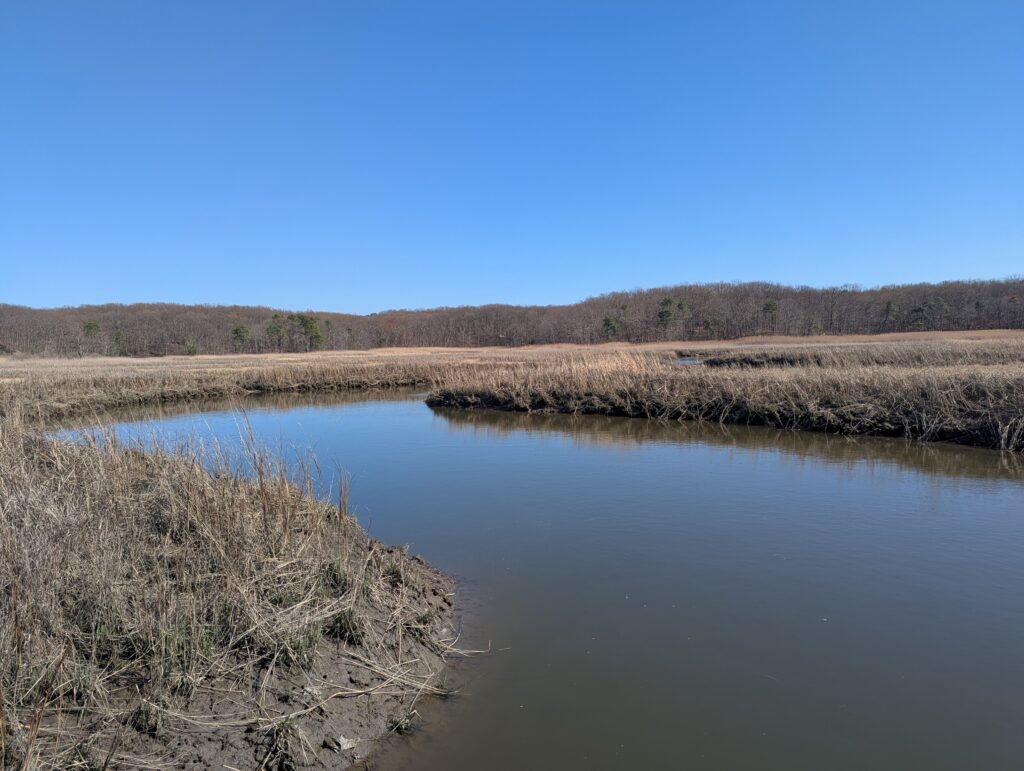 a body of water with grass and trees around it (MyCoast AI)
