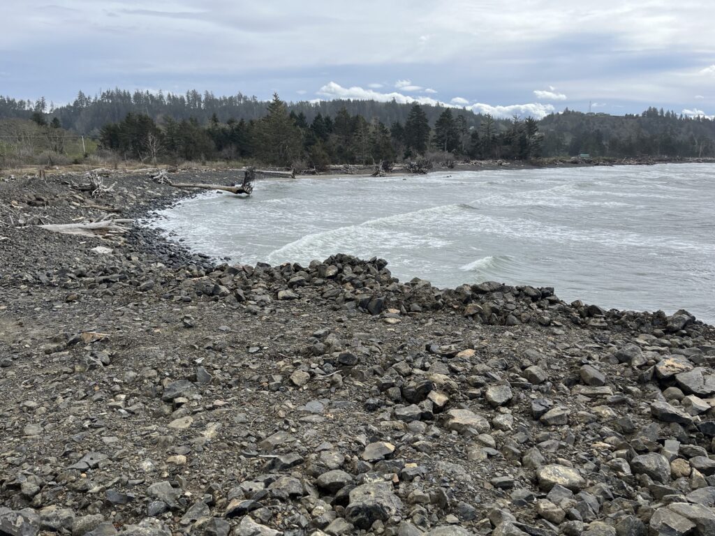 a rocky shore with a body of water and trees in the background (MyCoast AI)