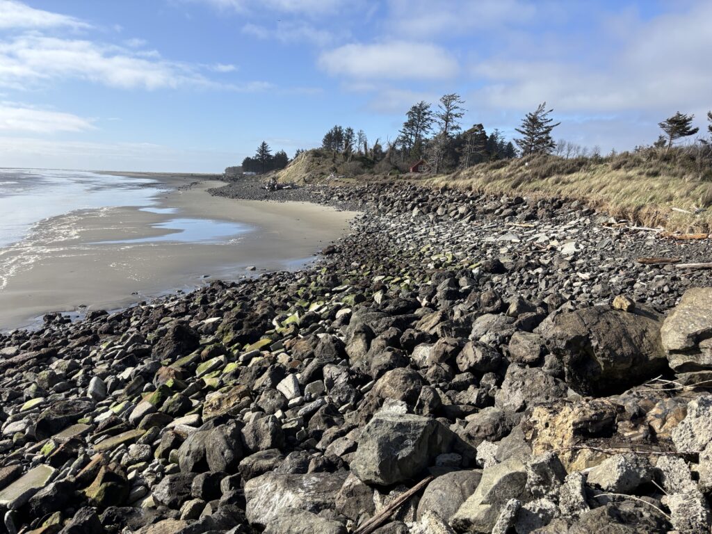 a rocky beach with trees and water (MyCoast AI)
