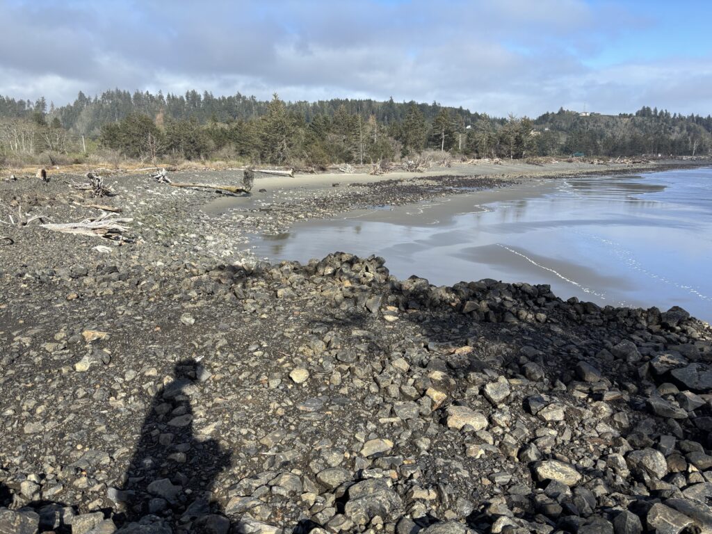a rocky beach with trees in the background (MyCoast AI)