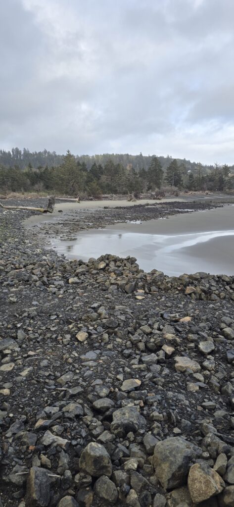 a rocky beach with trees in the background (MyCoast AI)