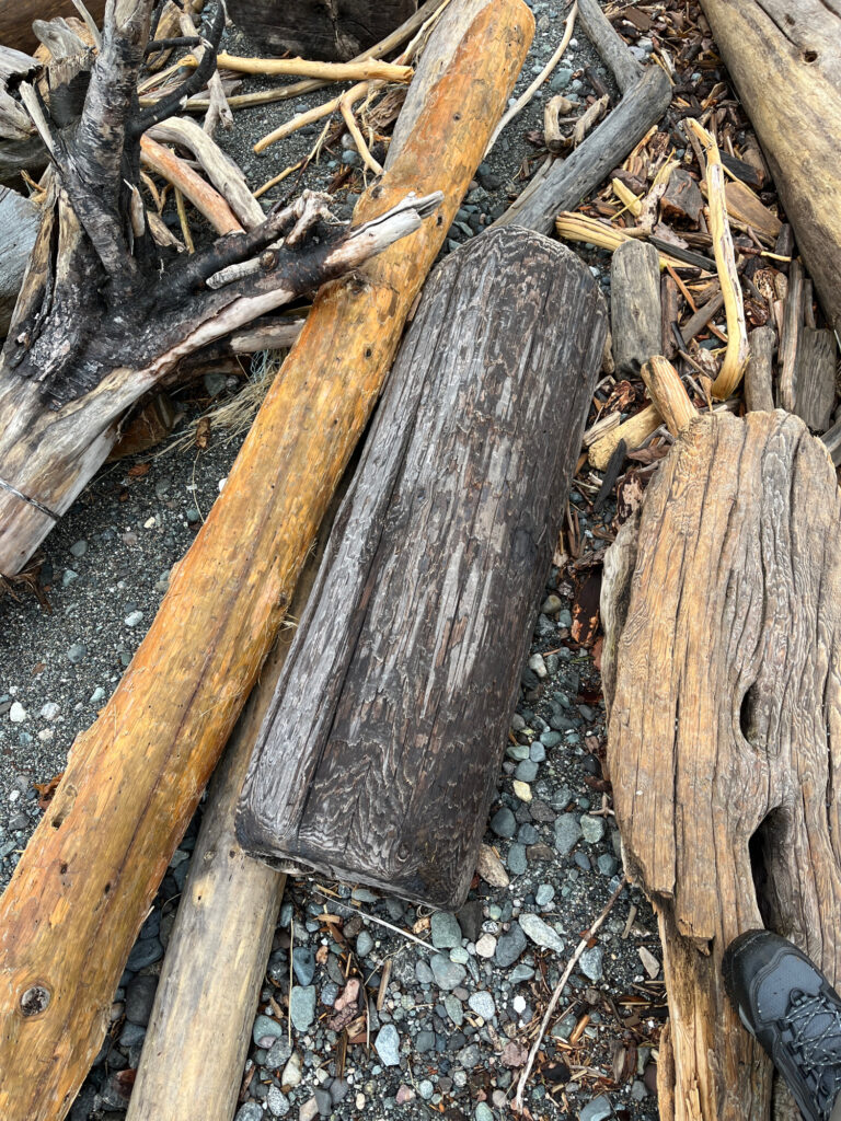 a group of wood logs (MyCoast AI)