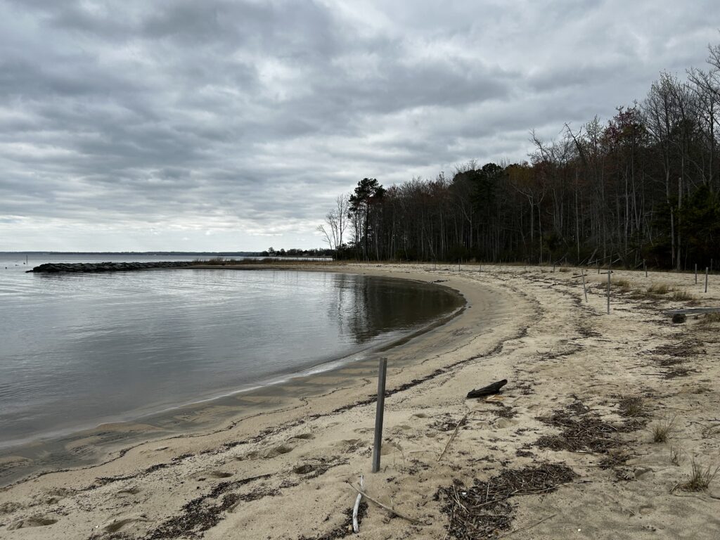 a beach with trees and a body of water (MyCoast AI)
