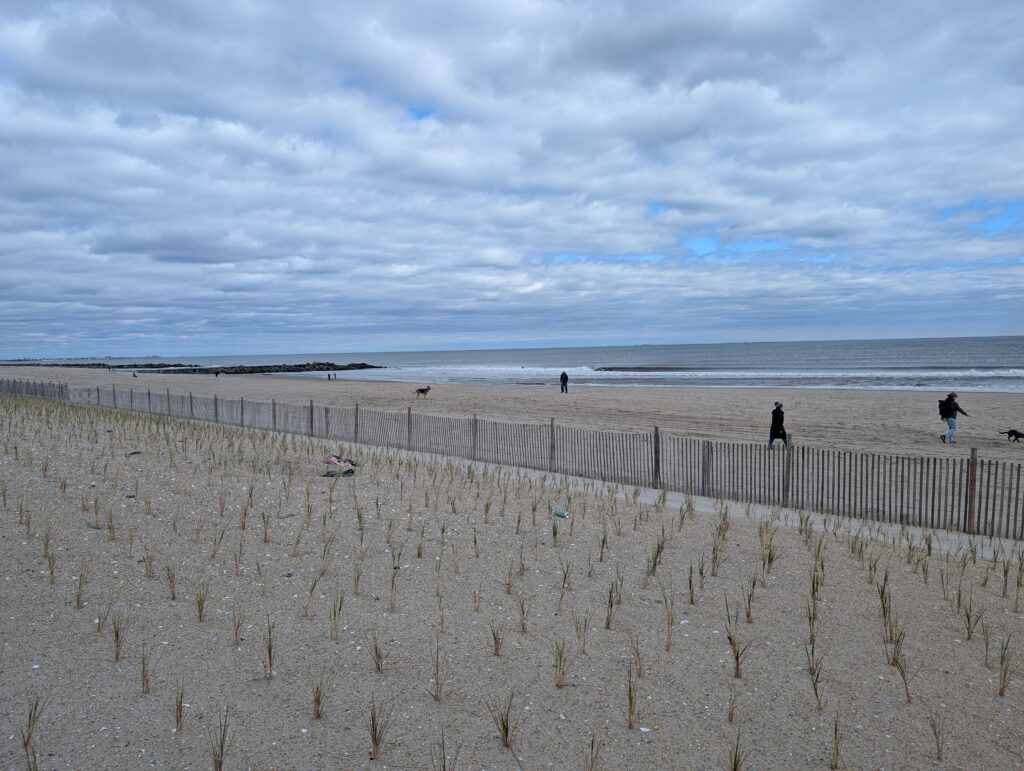 people walking on a beach (MyCoast AI)