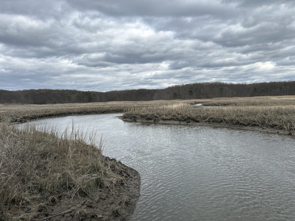 a river with grass and trees (MyCoast AI)