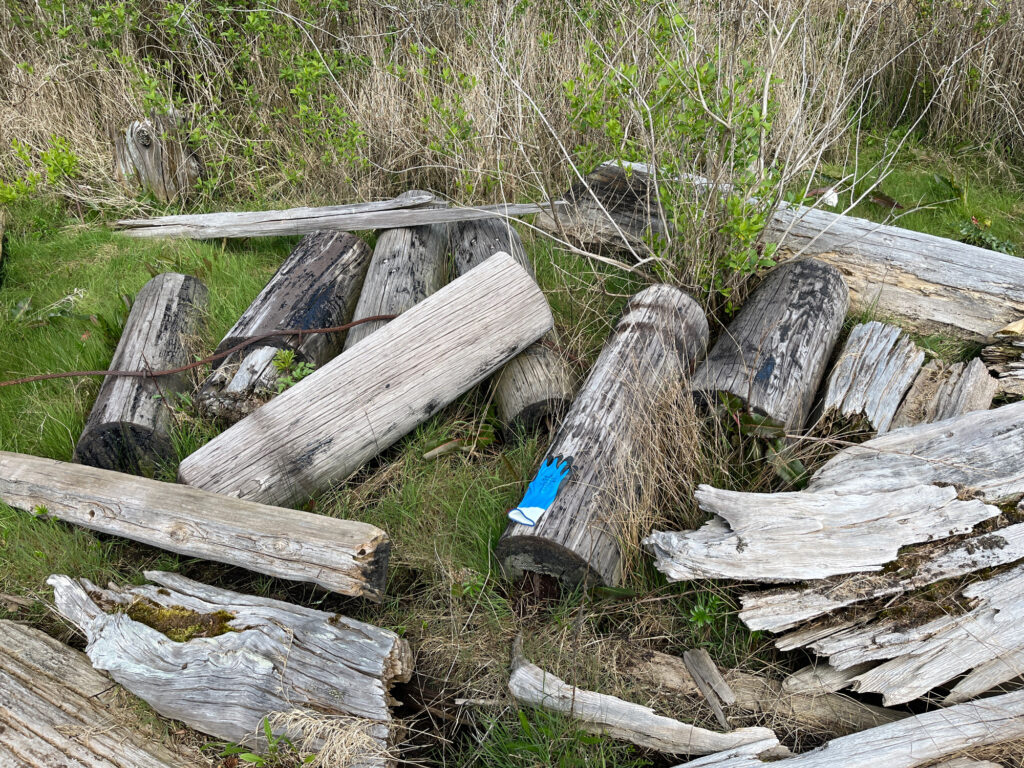 a group of logs (MyCoast AI)