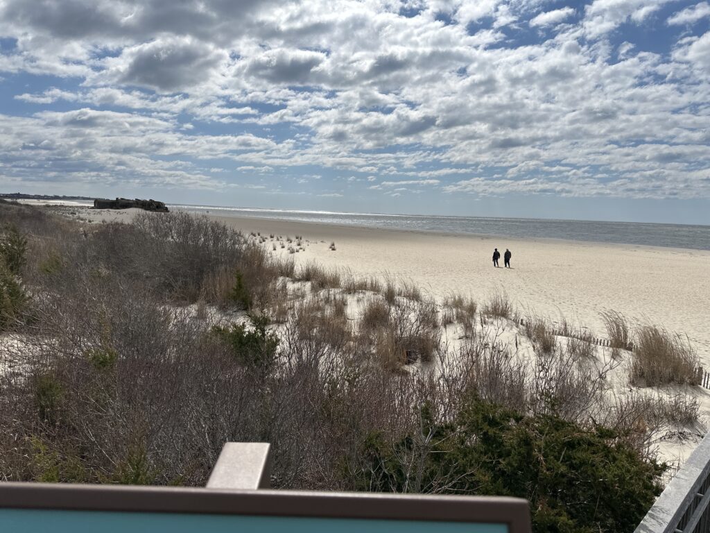 a group of people walking on a beach (MyCoast AI)