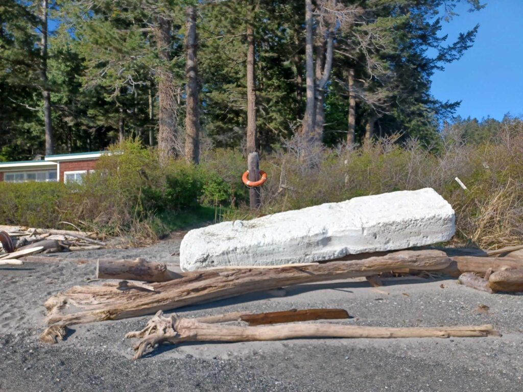 a pile of logs in a forest (MyCoast AI)