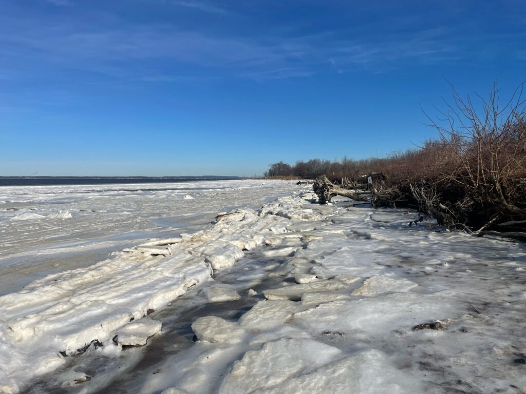 a snowy beach with trees (MyCoast AI)
