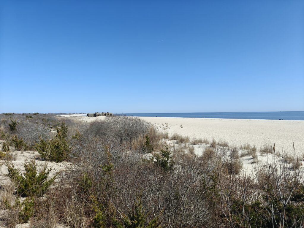 a sandy beach with bushes and trees (MyCoast AI)