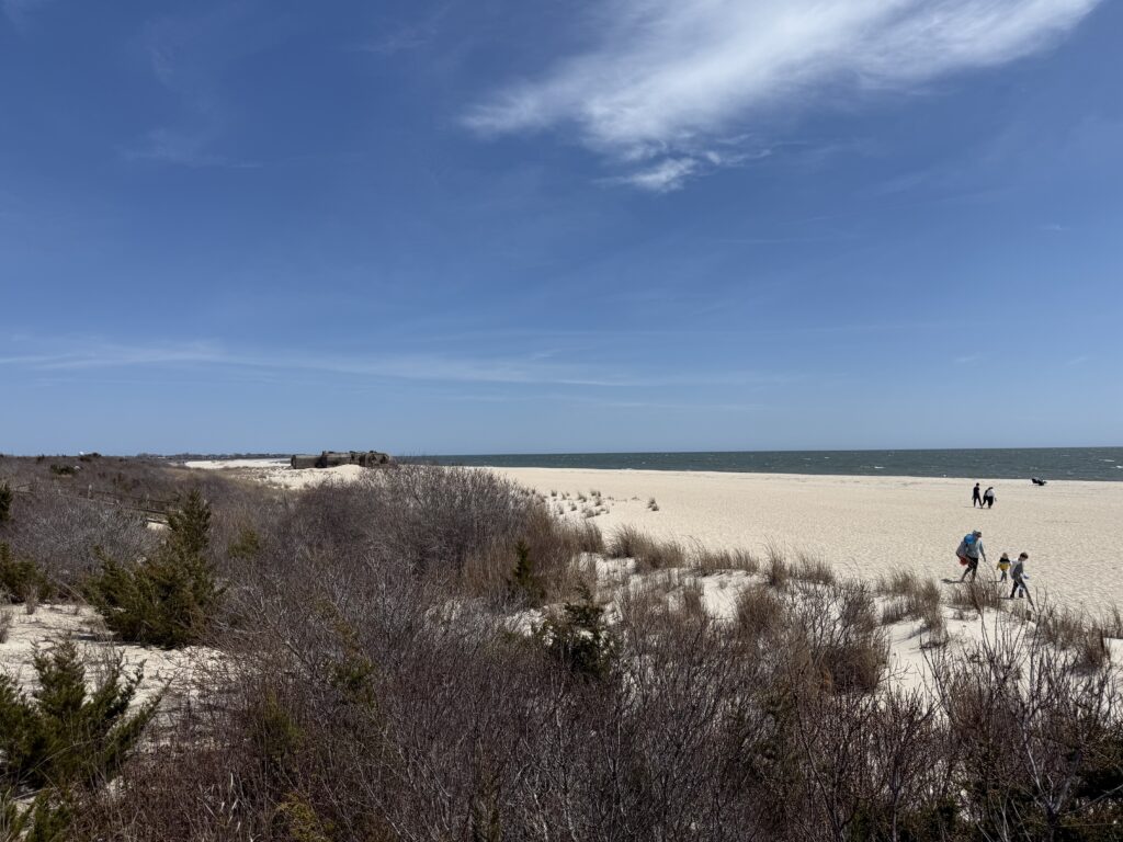 a group of people walking on a beach (MyCoast AI)