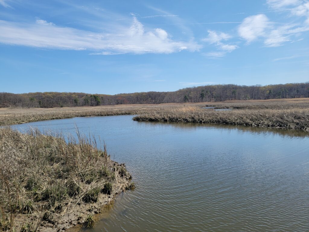 a body of water with grass and trees around it (MyCoast AI)