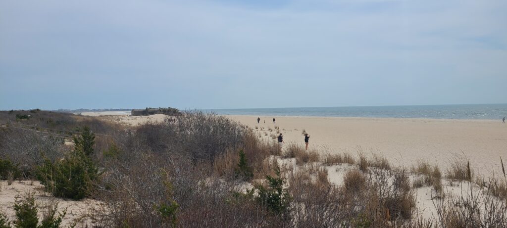 a group of people walking on a sandy beach (MyCoast AI)