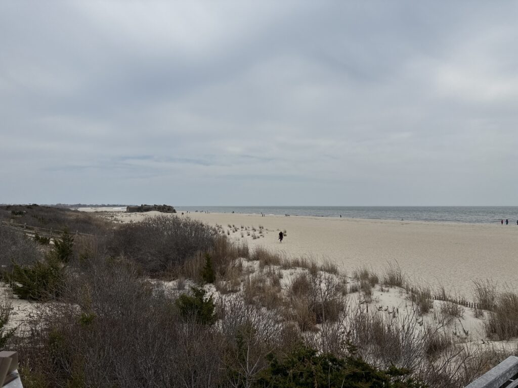 a sandy beach with bushes and trees (MyCoast AI)