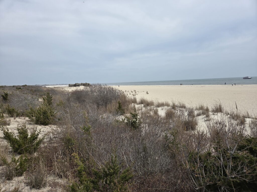 a sandy beach with bushes and water (MyCoast AI)