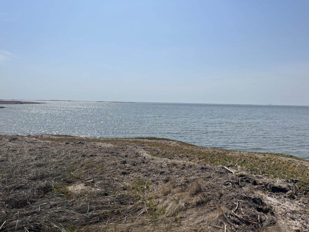 a rocky beach with a body of water in the background (MyCoast AI)