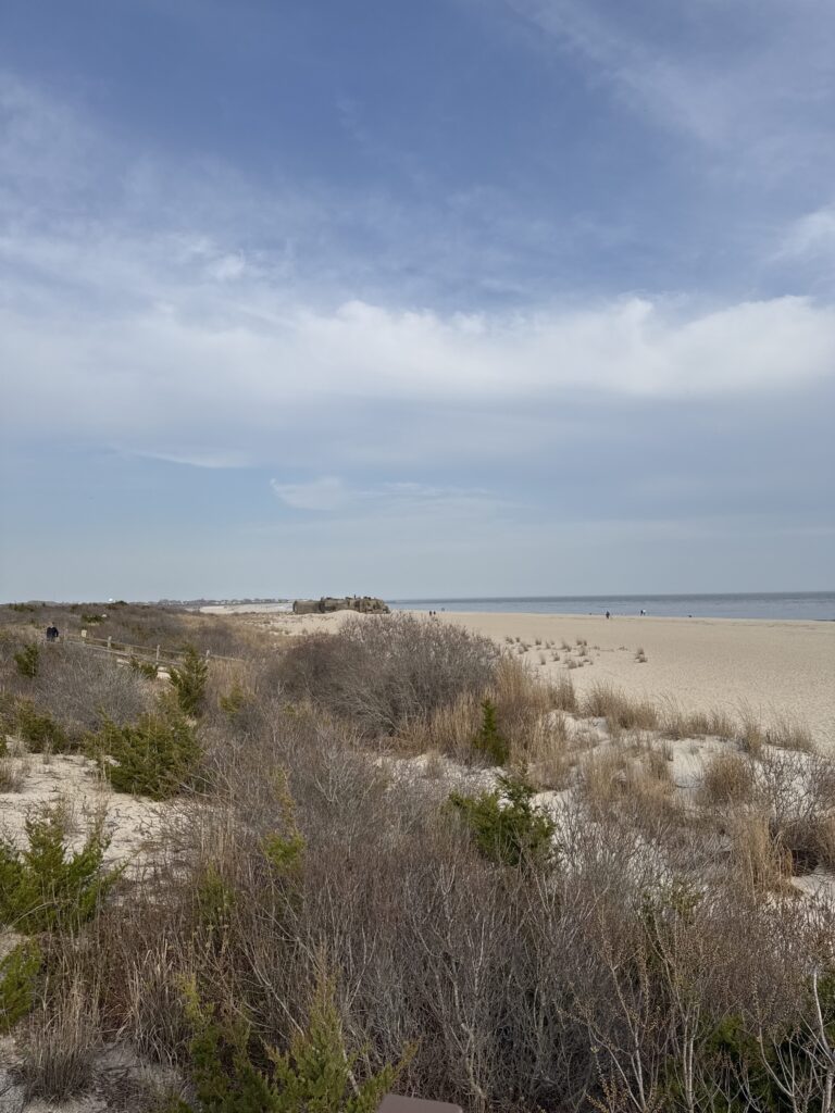 a sandy beach with bushes and grass (MyCoast AI)