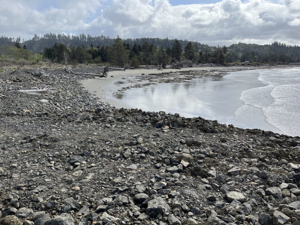 a rocky beach with a body of water and trees in the background (MyCoast AI)