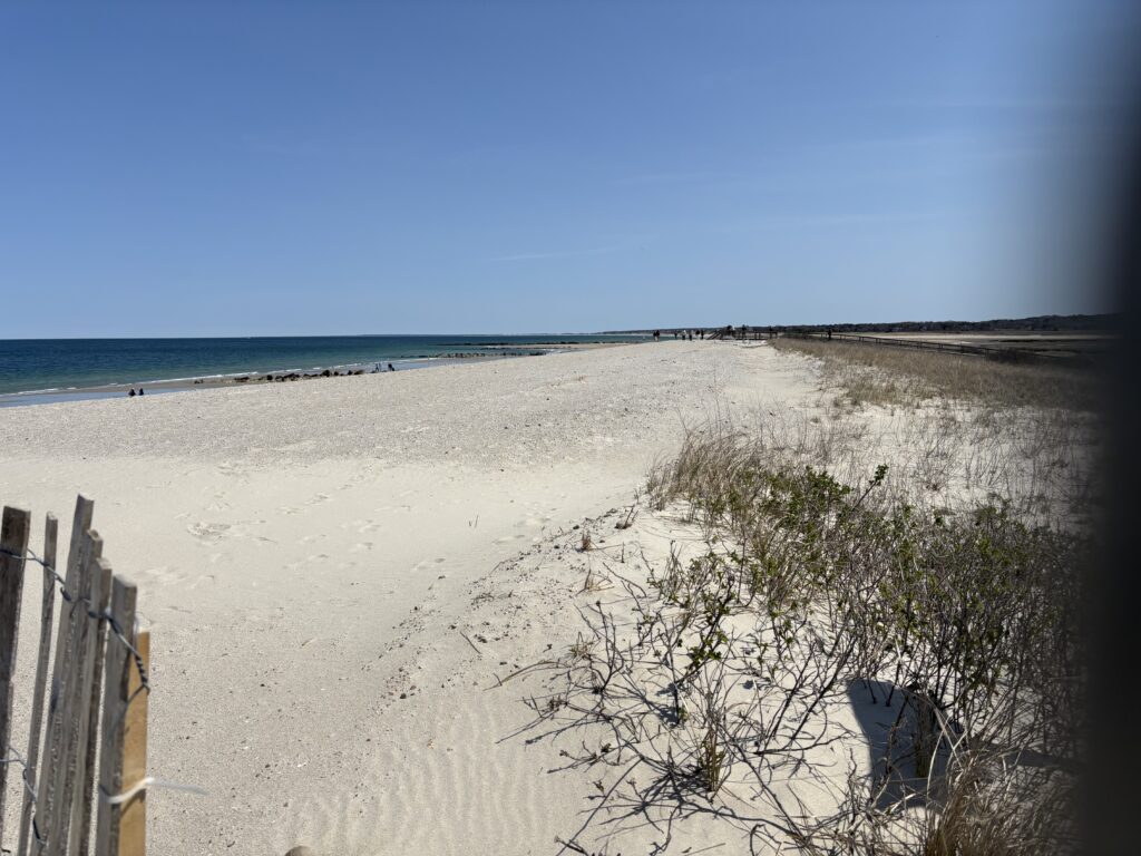 a sandy beach with a fence (MyCoast AI)