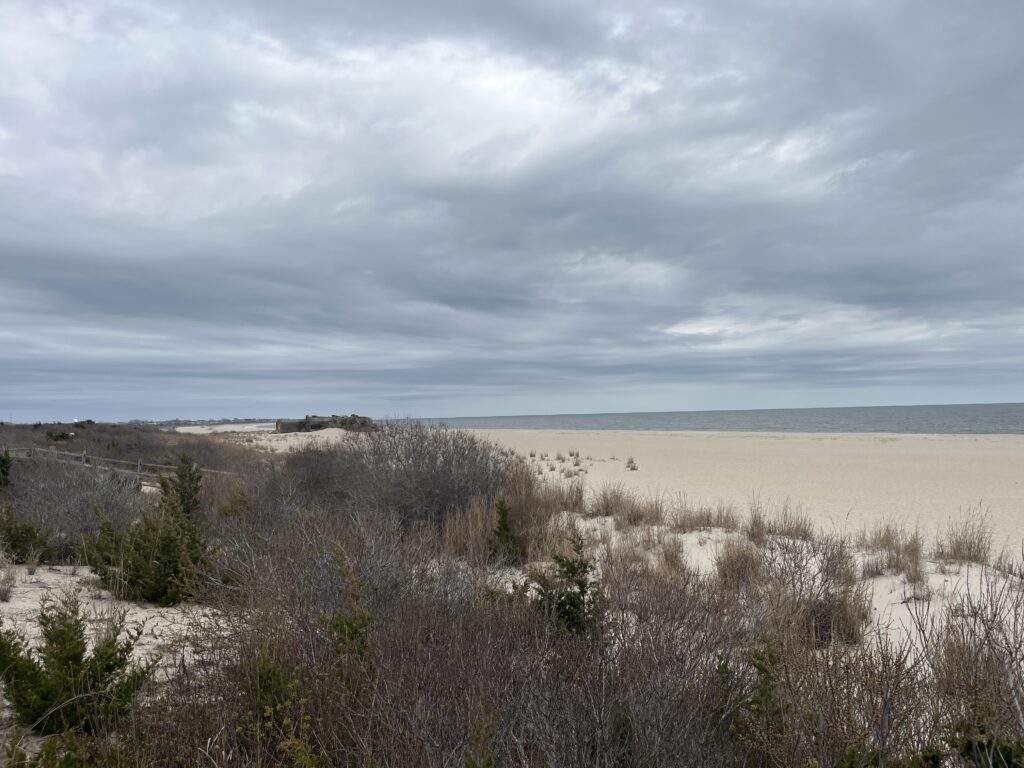 a field of dry grass (MyCoast AI)