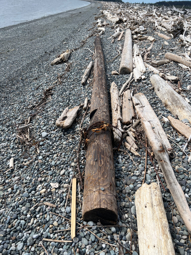 a pile of wood on a beach (MyCoast AI)