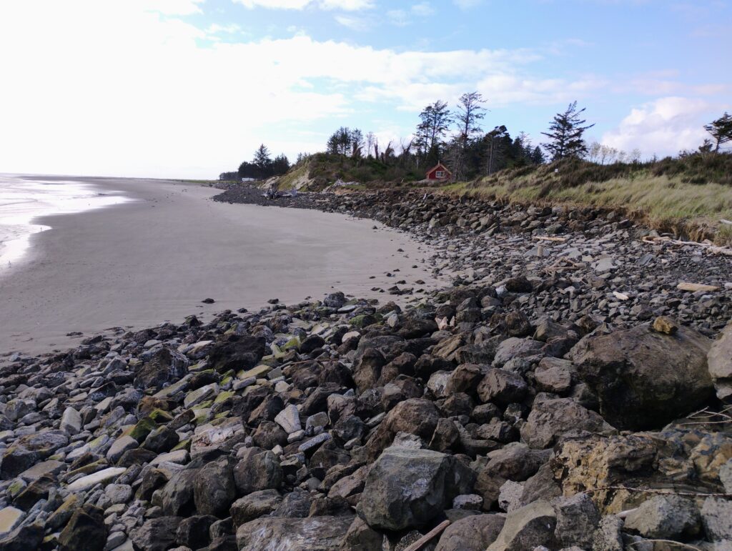 a rocky beach with trees and a hill in the background (MyCoast AI)
