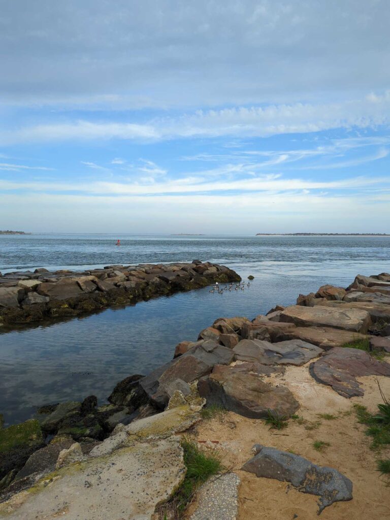 a rocky beach with a body of water in the background (MyCoast AI)