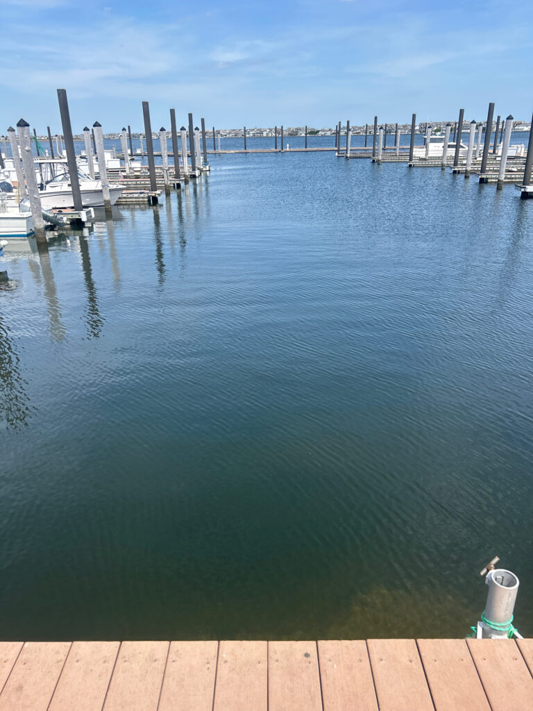 a body of water with a dock and a dock with boats (MyCoast AI)
