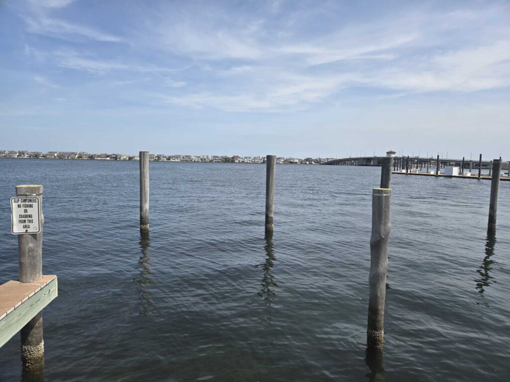 a dock in the water (MyCoast AI)