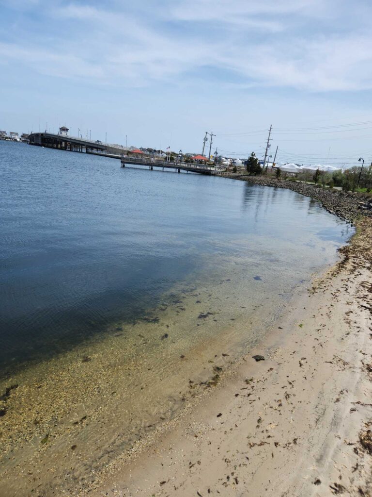 a beach with a pier and a body of water (MyCoast AI)