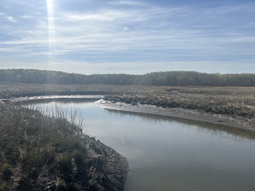 a river with a small waterfall (MyCoast AI)