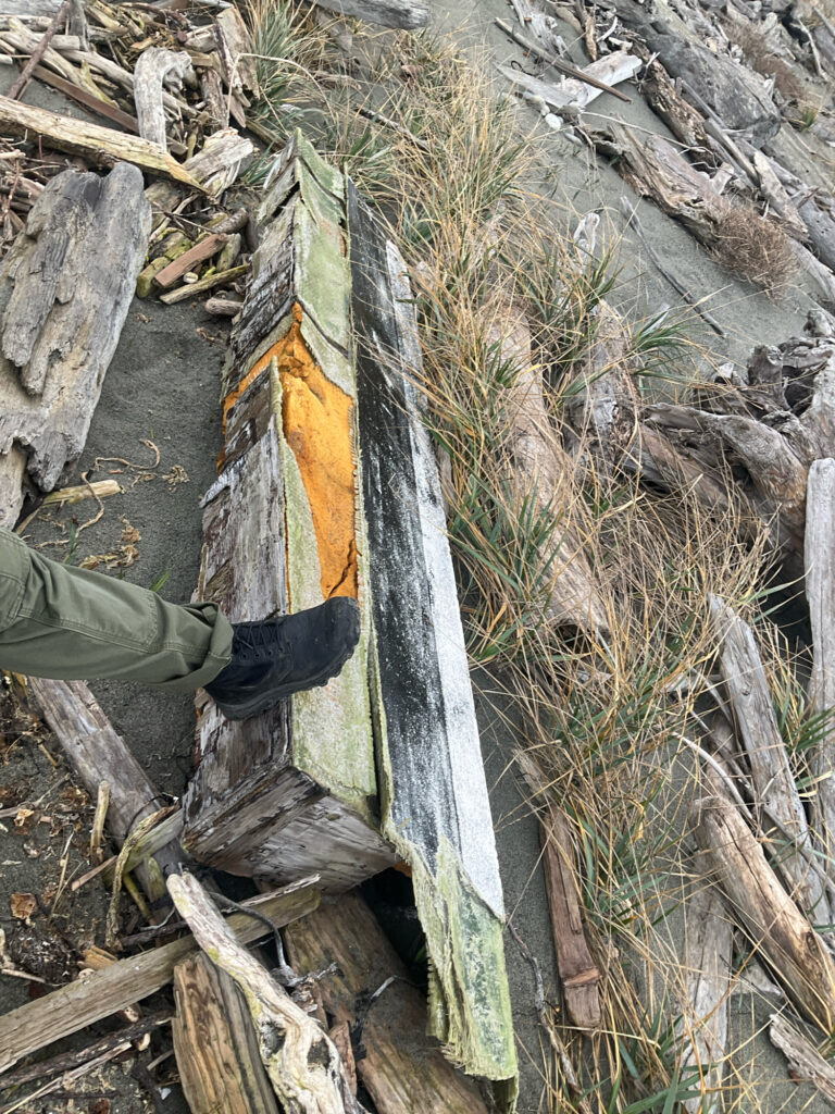 a person holding a large piece of wood (MyCoast AI)