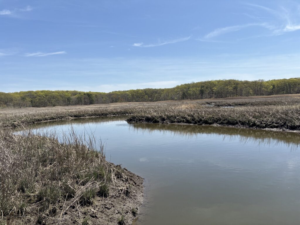 a body of water with grass and trees in the background (MyCoast AI)