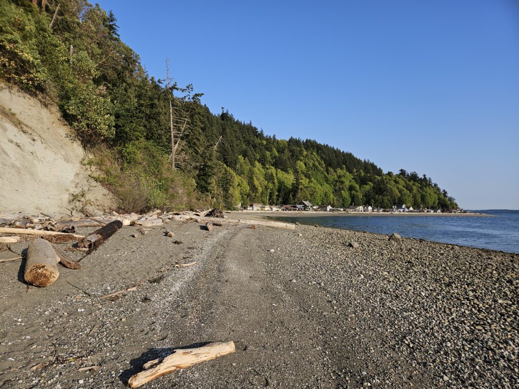 a rocky beach with trees and a hill in the background (MyCoast AI)