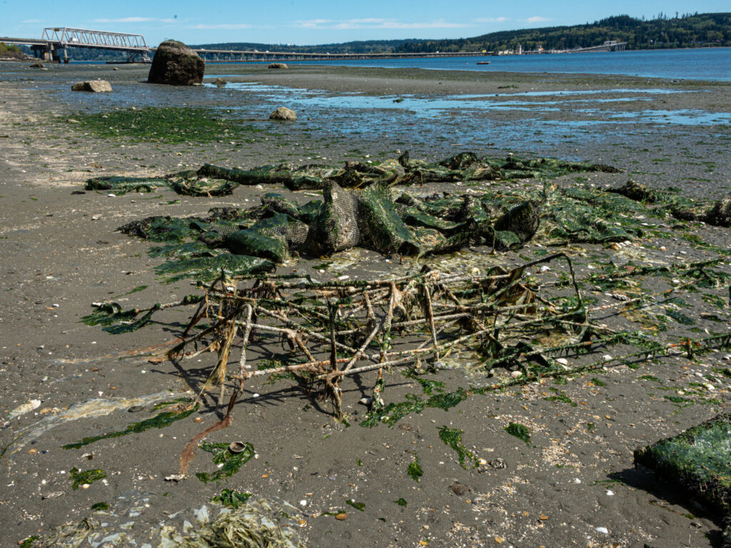 a beach with many rocks and debris (MyCoast AI)