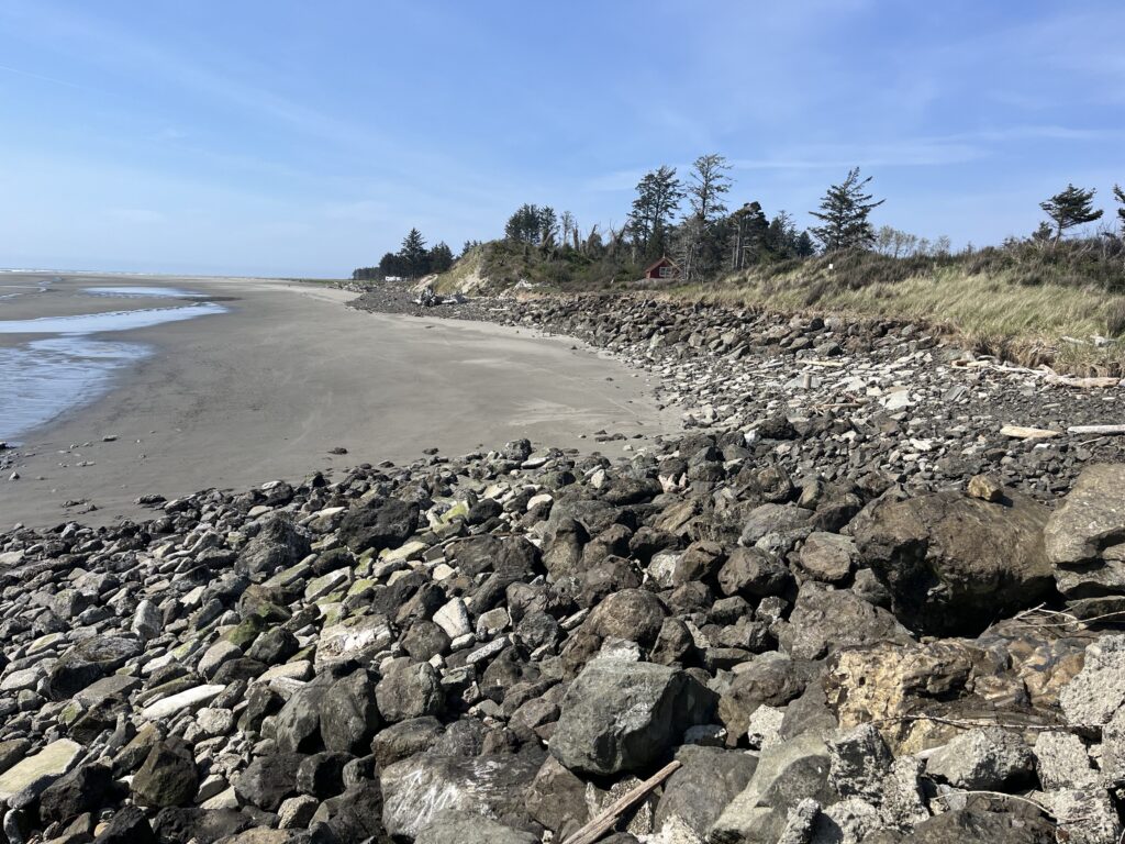 a rocky beach with trees and water (MyCoast AI)