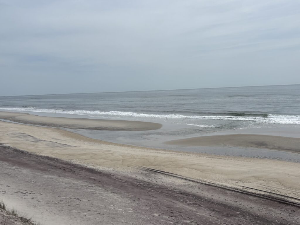 a beach with waves crashing on it (MyCoast AI)
