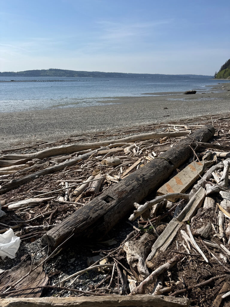 a pile of wood on a beach (MyCoast AI)