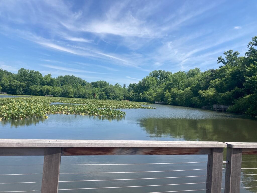 a wooden railing overlooking a lake (MyCoast AI)