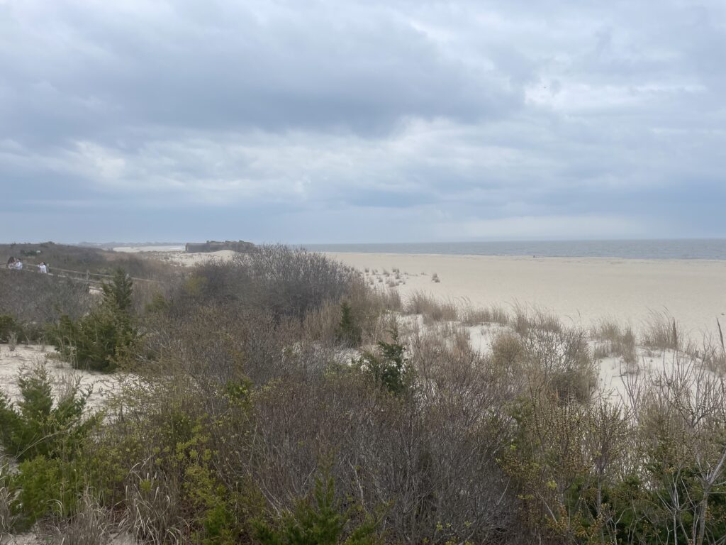 a landscape with bushes and trees (MyCoast AI)
