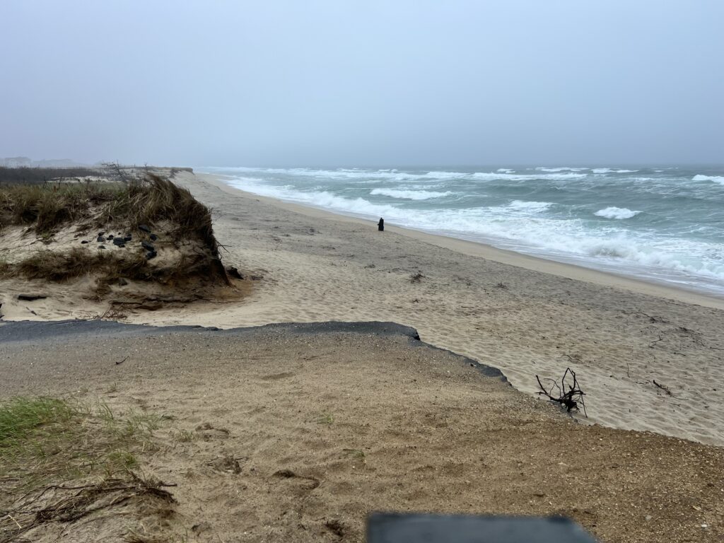 a person walking on a beach (MyCoast AI)