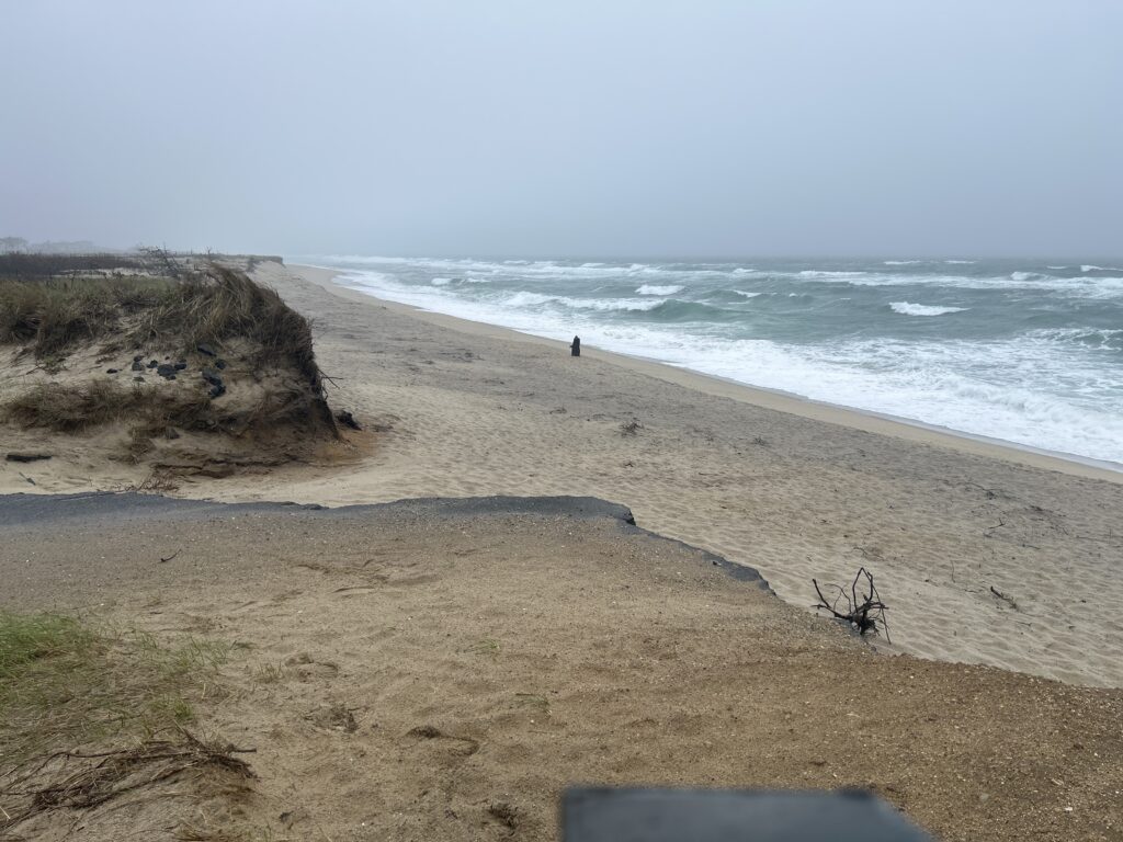 a sandy beach with waves crashing (MyCoast AI)