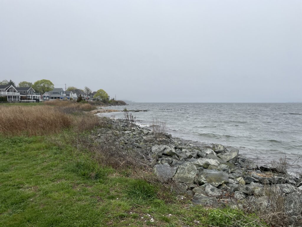 a rocky shore with a body of water and houses in the background (MyCoast AI)