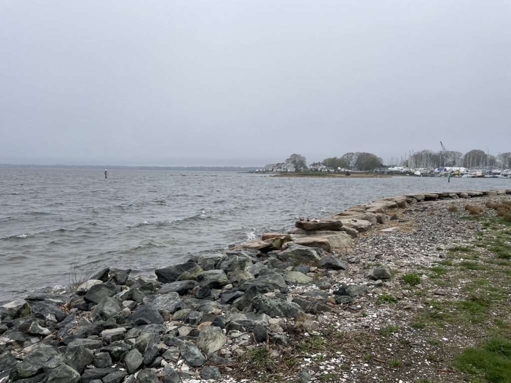 a rocky beach with a body of water in the background (MyCoast AI)