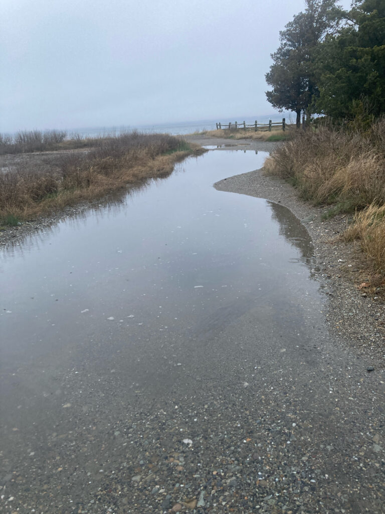 a wet road with trees on either side of it (MyCoast AI)